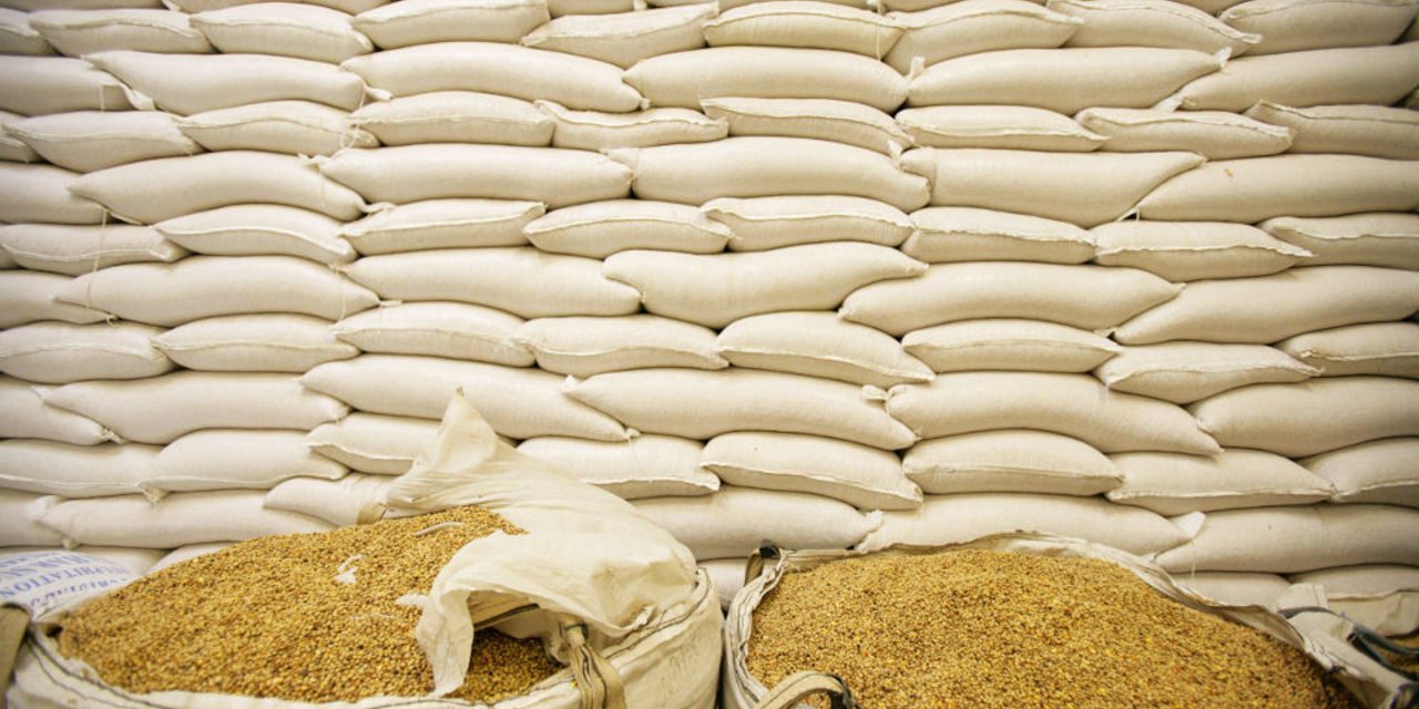 maize-3-1280×640